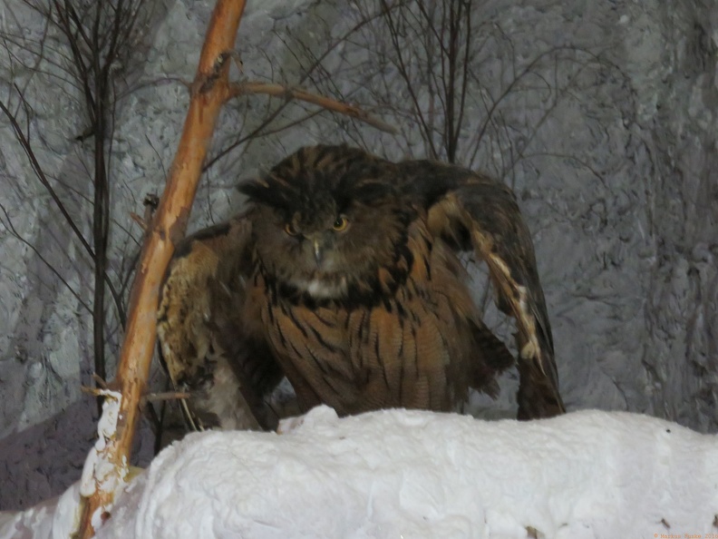 scandinavia2069-IMG 1029