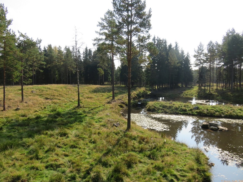 scandinavia2070-IMG 1030