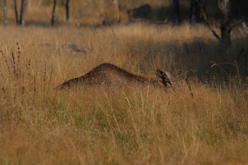 scandinavia2080-IMG 8260