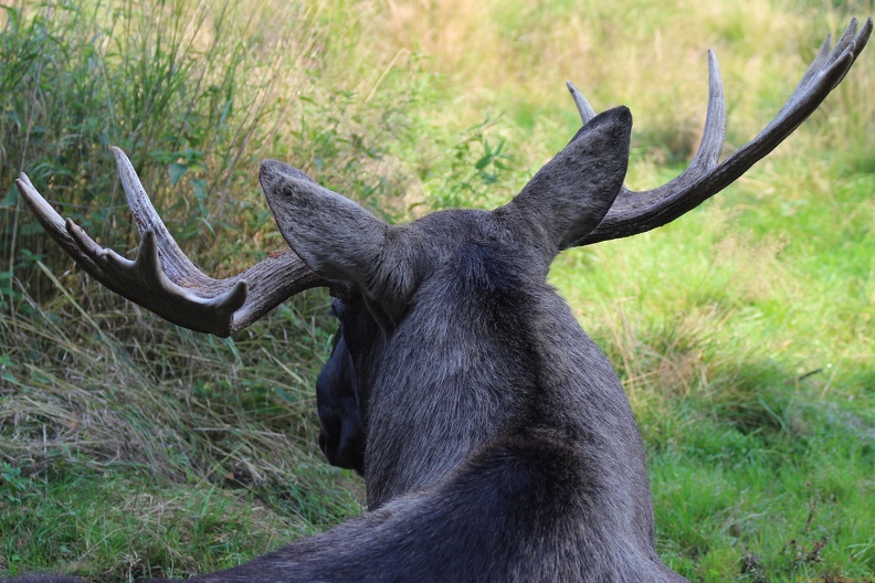 scandinavia2082-IMG 8262