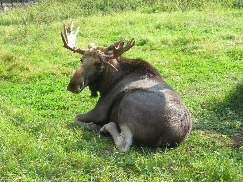 scandinavia2091-IMG 1033