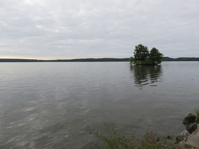 scandinavia2355-IMG 1161