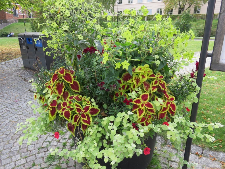 scandinavia2393-IMG 1183