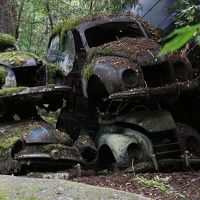 scandinavia2483-IMG 8468