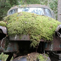 scandinavia2484-IMG 8469