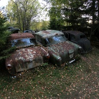 scandinavia2501-IMG 8486