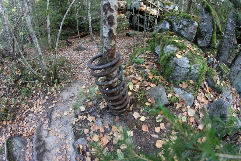 scandinavia2517-IMG 8502