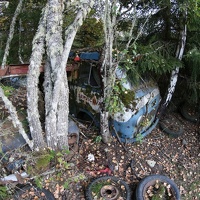 scandinavia2529-IMG 8514