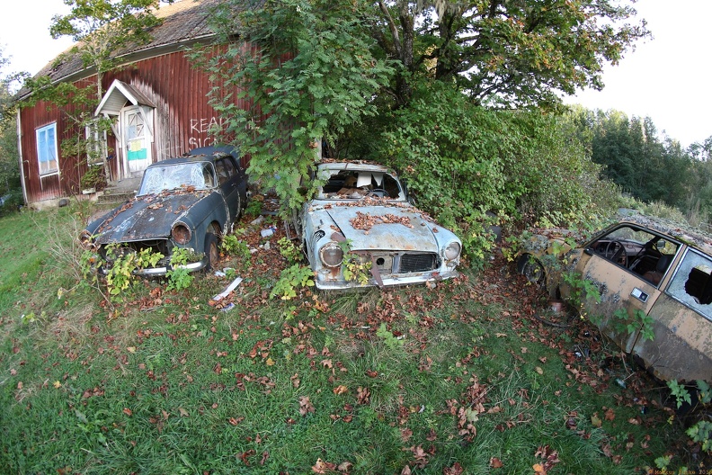 scandinavia2531-IMG 8516