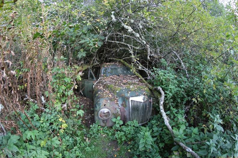 scandinavia2535-IMG 8520