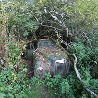 scandinavia2535-IMG 8520