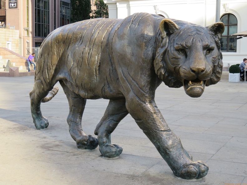 scandinavia2632-IMG 1250