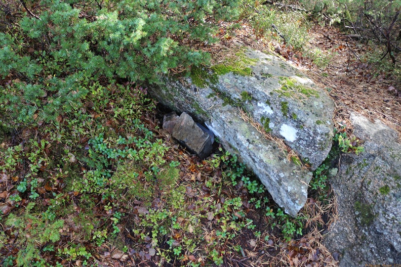 scandinavia3283-IMG 9077