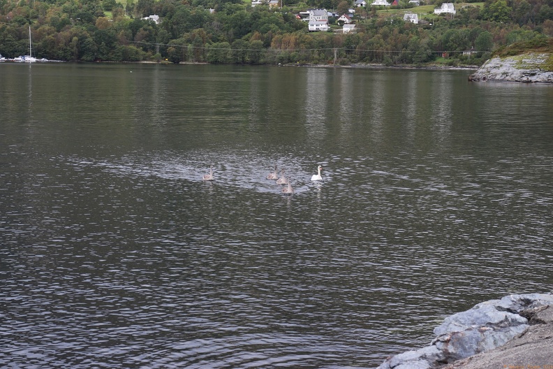 scandinavia3286-IMG 9079