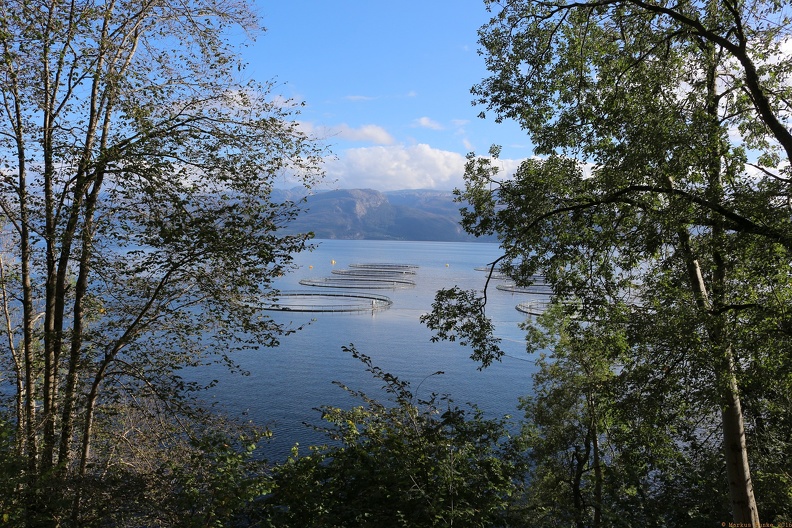 scandinavia3288-IMG 9081