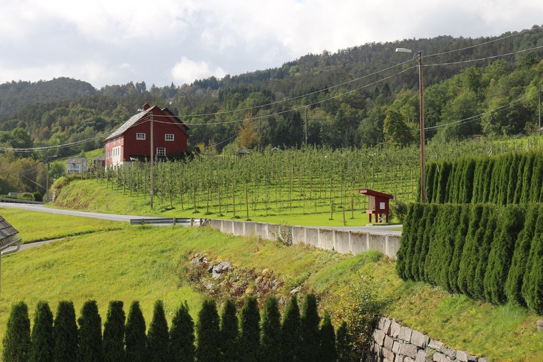 scandinavia3291-IMG 9084