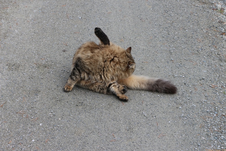 scandinavia3441-IMG 9232