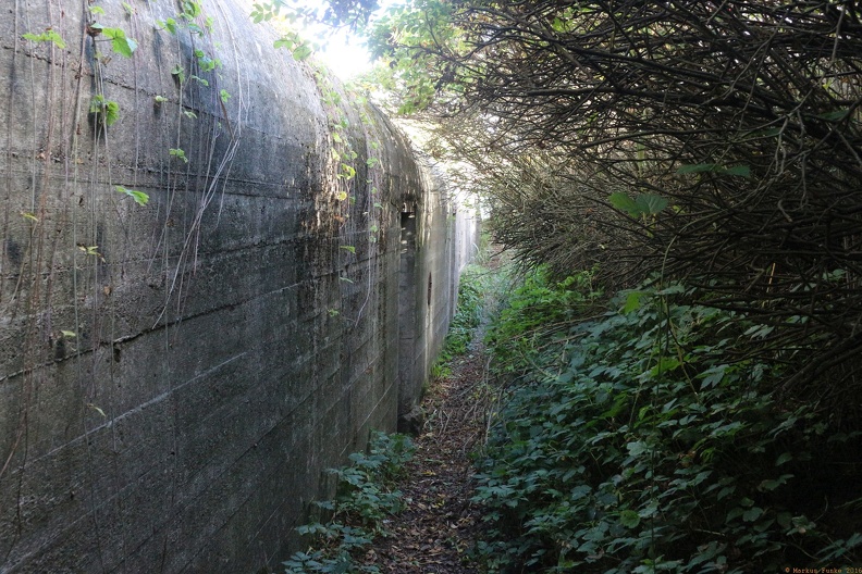 scandinavia3640-IMG 9338