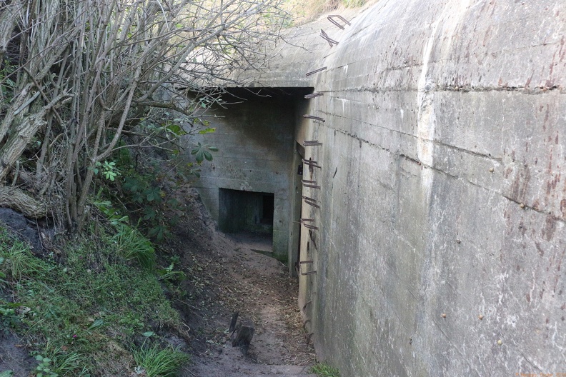 scandinavia3644-IMG 9342