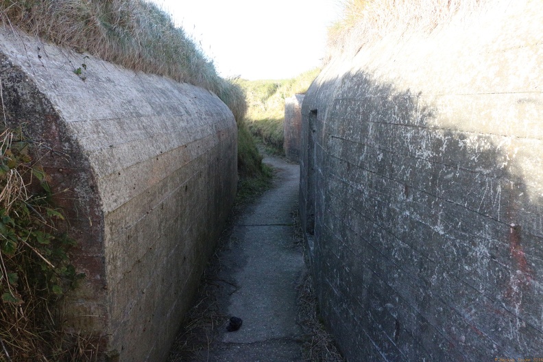 scandinavia3649-IMG 9347