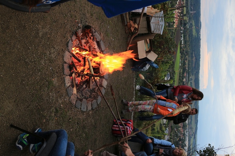 IMG 0612